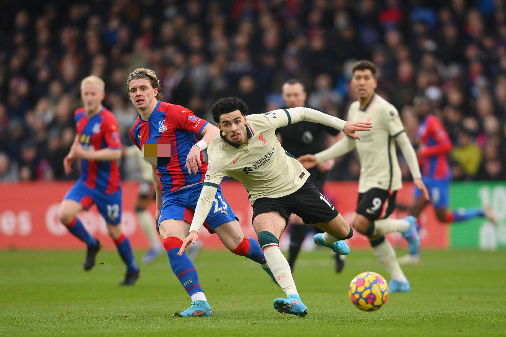 梅努高价要 梅努高价要